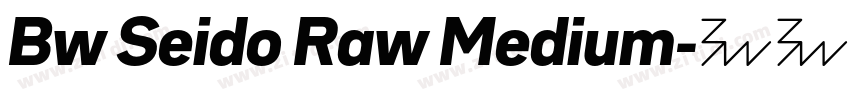Bw Seido Raw Medium字体转换